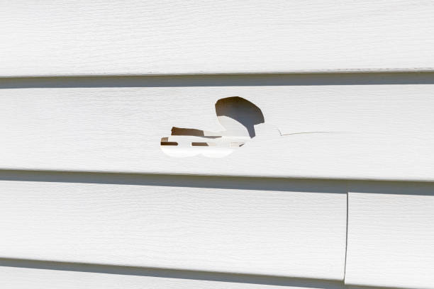 Best Moving and Downsizing Cleanouts  in Keego Harbor, MI